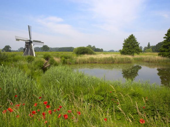 achterhoek1