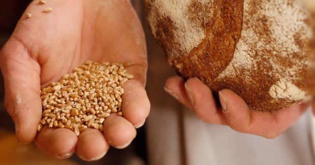 slowfoodbeursturijn