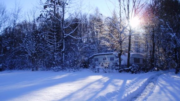 winterspecial
