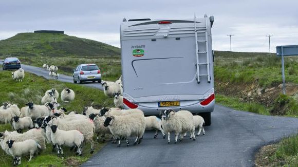 camperreizen