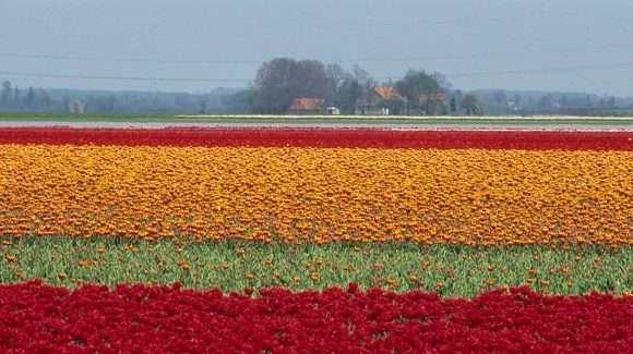nederland