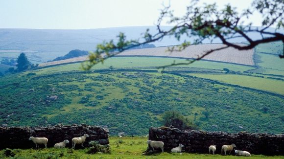 wales01