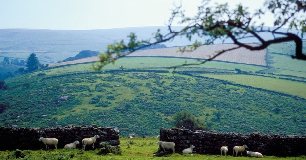 wales01