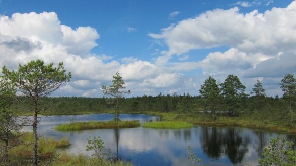 estland
