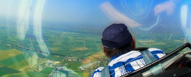 meevliegen zweefvliegen