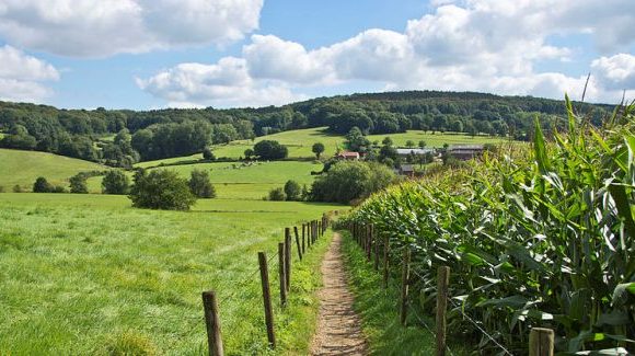 limburg