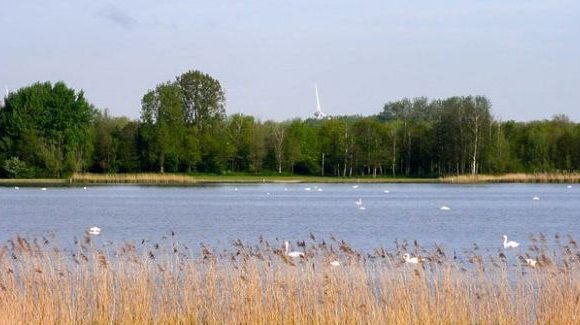 veluwemeer