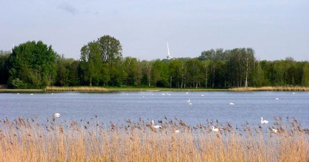 veluwemeer