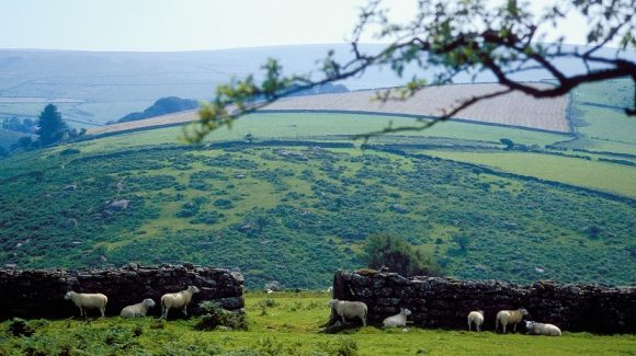 wales02
