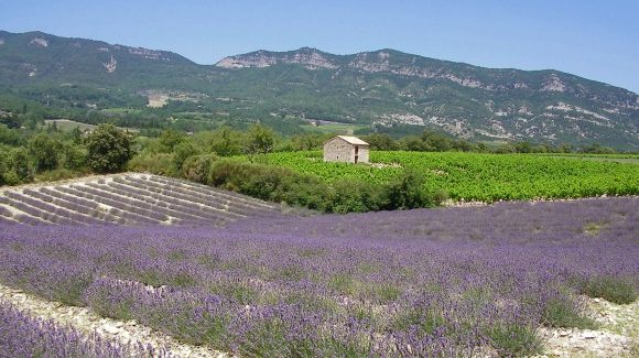 provence01