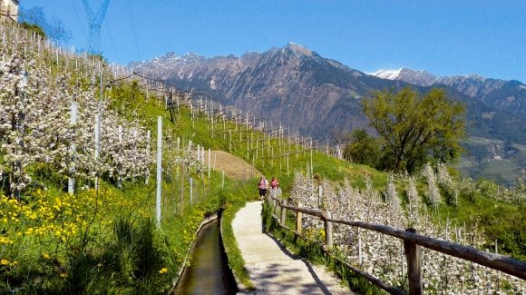 Beleef de lente in Europa
