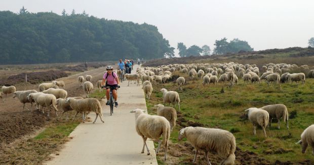 2014 07 06 Otterlo Ede 15