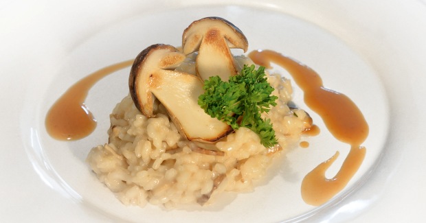 Steinpilzrisotto rotwild.it