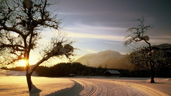Vakantie kerst