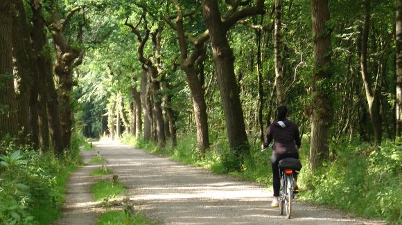 fietsen door friesland