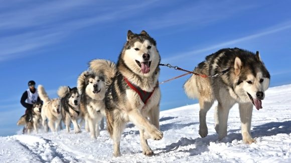 shutterstock 251929837