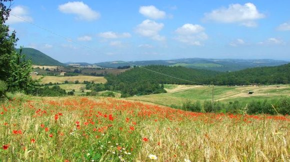 Toscane Ton 06