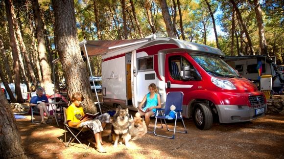 Hond mee naar de camping