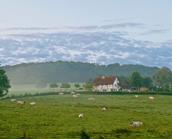 vakwerkhuis zuid-limburg