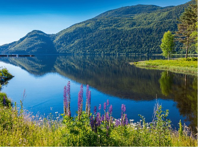Zuid-Noorwegen meer