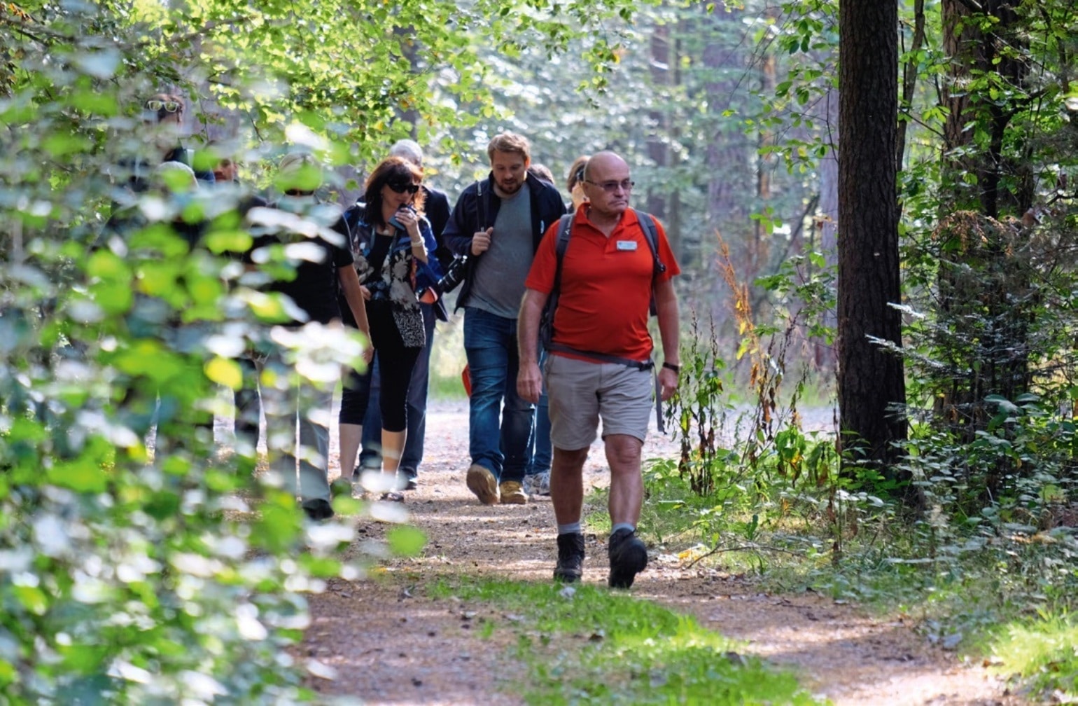 Wandelen Zwarte Woud