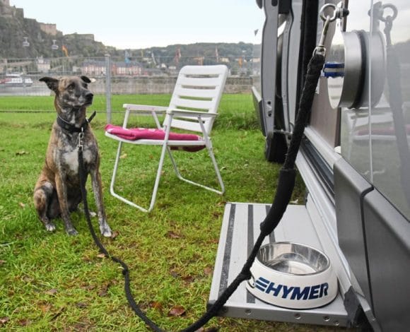 hond camper buiten