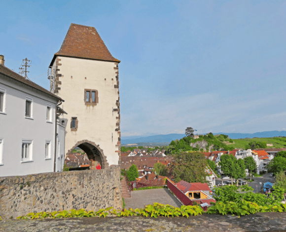 Breisach_Markgräflerland