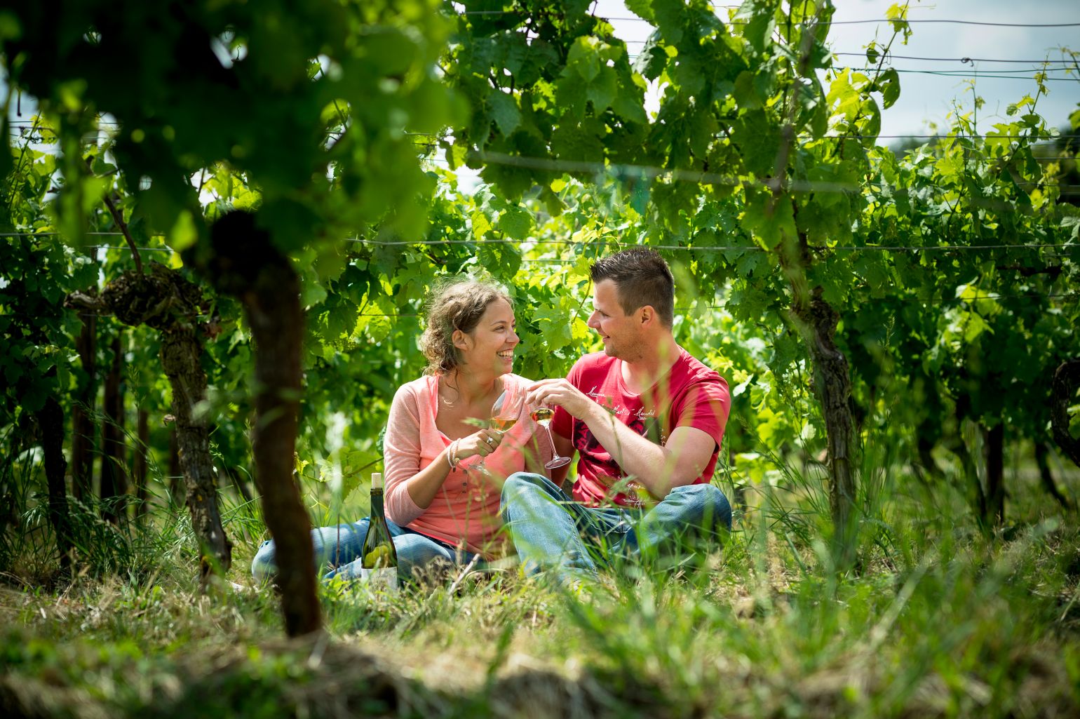 wijn Hageland