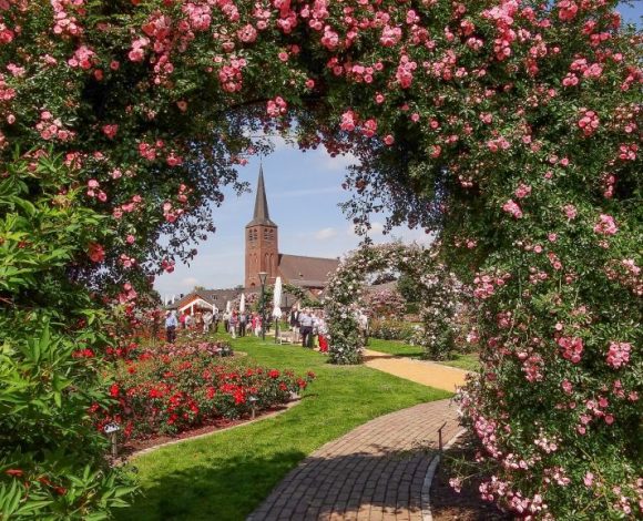 Kamperen in kleurrijk Limburg