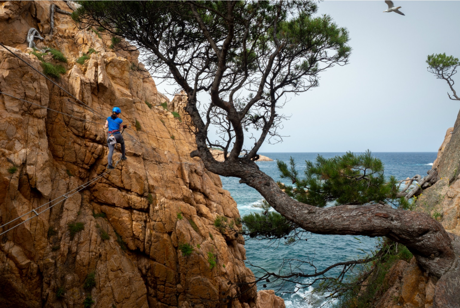 Sant Feliu