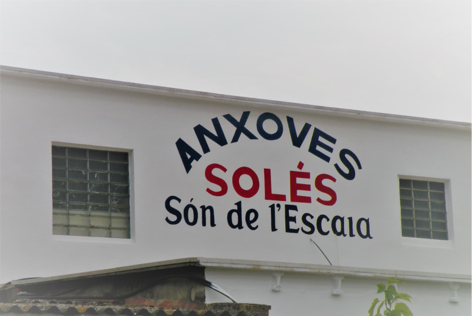 Ansjovis L'Escala