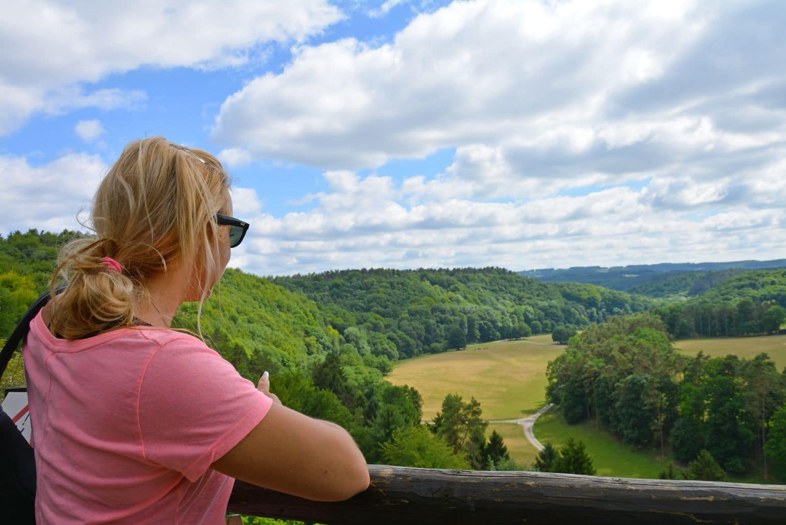 Wild spotten in de Ardennen