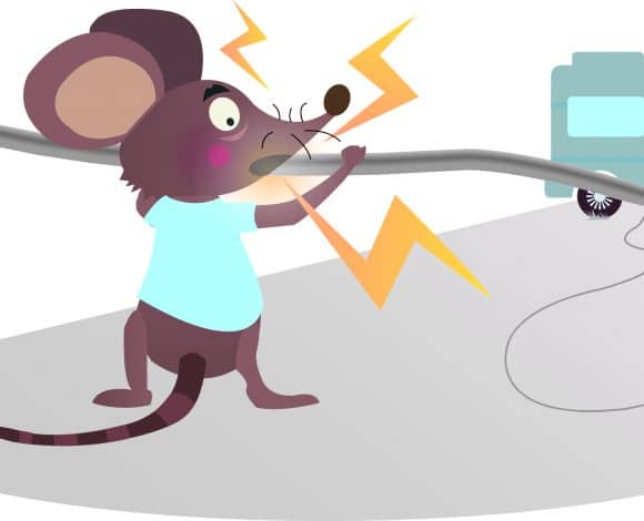 muis_illustratie