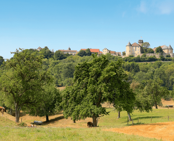 Baden-Württemberg_Waldenburg