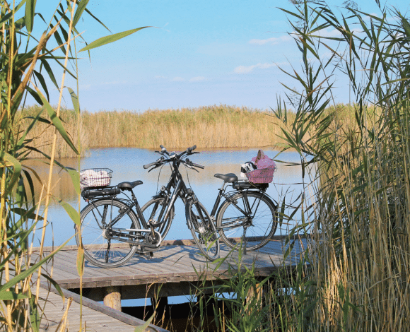 Neusiedler Meer
