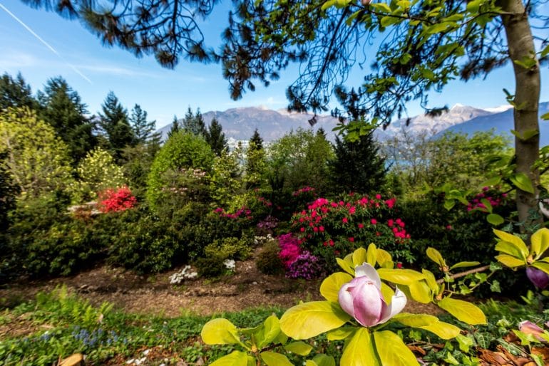 Ticino_botanische tuin