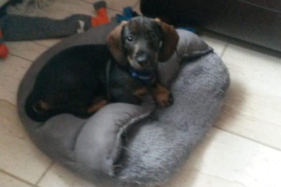 Tucker