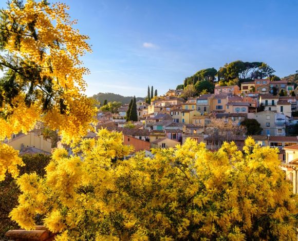 Frankrijk_Provence_Bormes-les-Mimosas