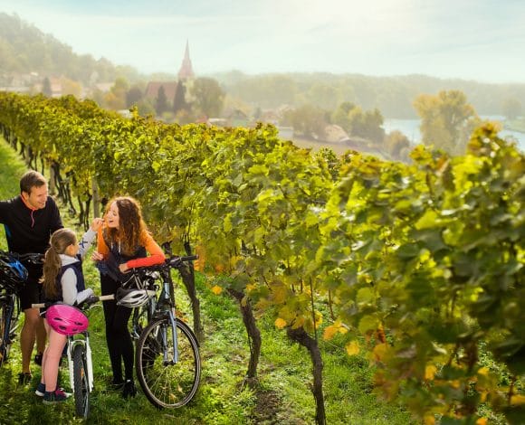 Tsjechië_fietsen_Elbe_route_gezin
