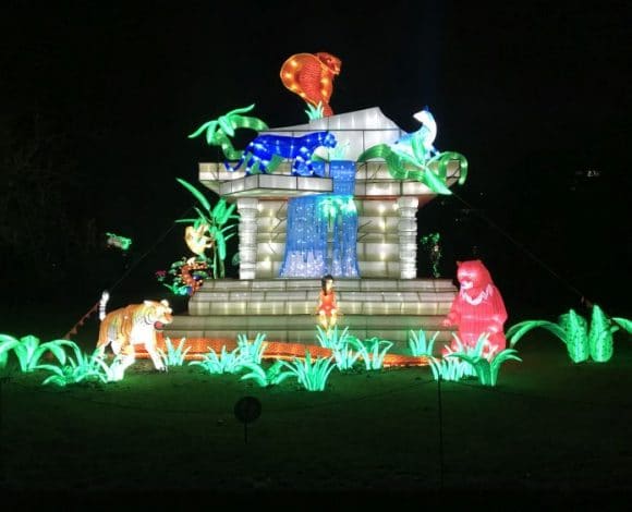 Jungle Book Light Festival