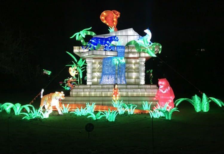 Jungle Book Light Festival