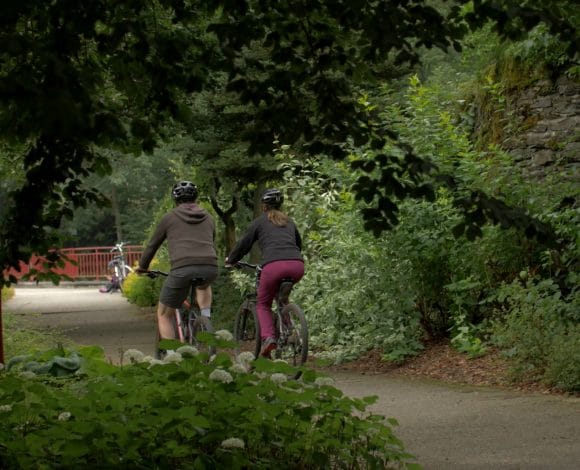 Mountainbiken in Bütgenbach