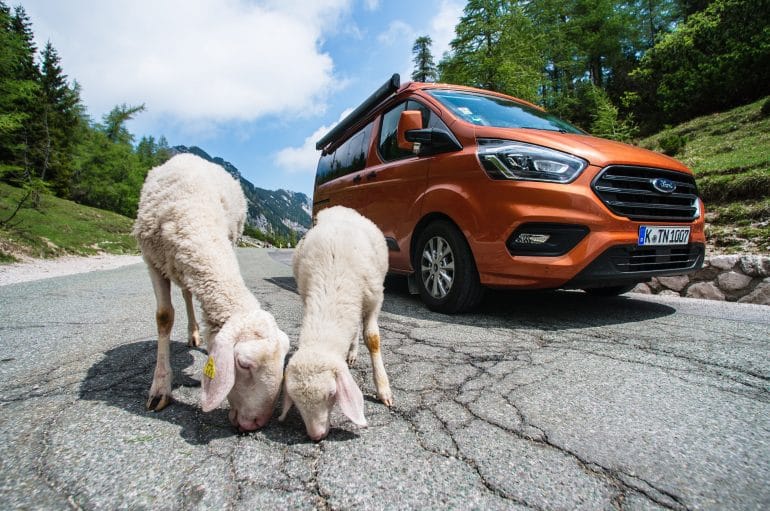 Ford Transit Custom Nugget