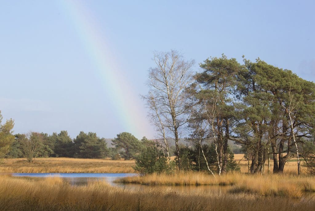 het meer gerritsflesch