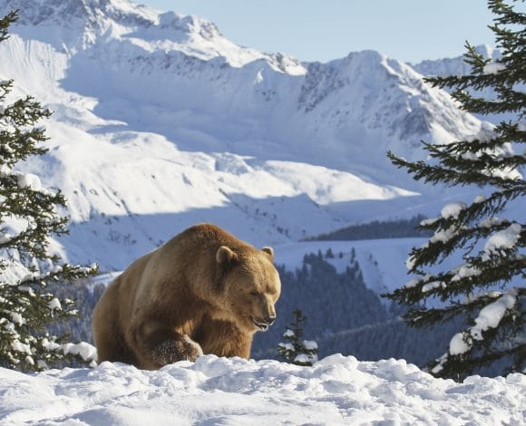 Graubünden sneeuw wintersport