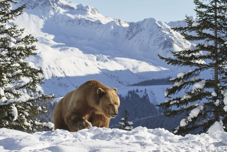 Graubünden sneeuw wintersport
