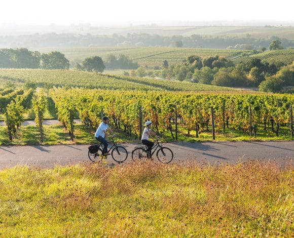 Duitse vakantieroutes_Duitse Wijnroute