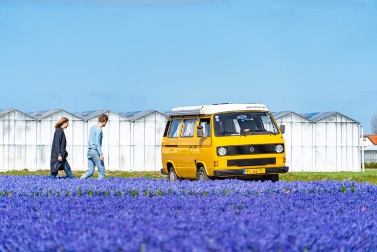 Start2Camp_Bollenstreek
