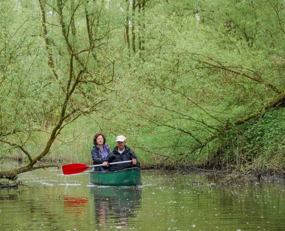 Biesbosch