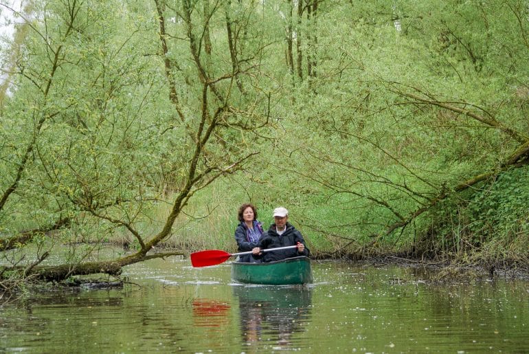 Biesbosch